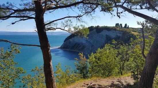 شقة Amazing View Pirano المظهر الخارجي الصورة